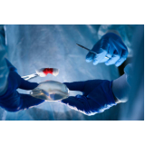 prótese mamária externa de silicone Sé